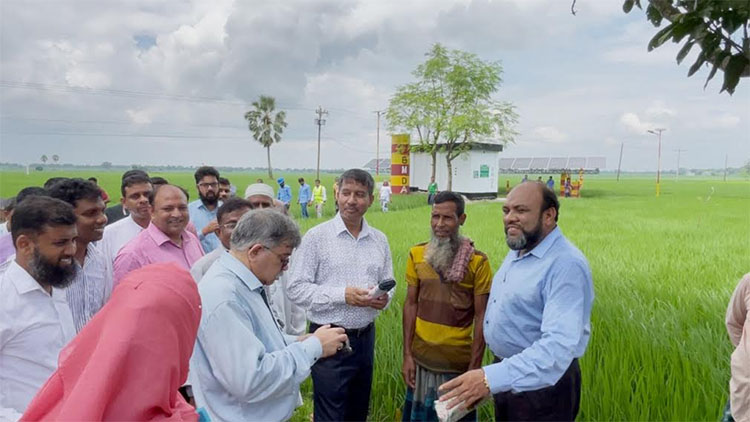 দেশে সার সংকট নেই : কৃষি সচিব