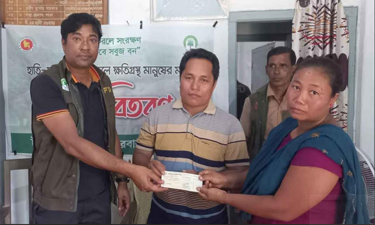 বান্দরবানে বন্যহাতির আক্রমণে ক্ষতিগ্রস্তদের চেক বিতরণ
