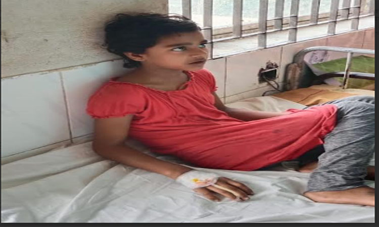 যশোরে সাপের কামড়ে ভাইয়ের মৃত্যু, বোন হাসপাতালে