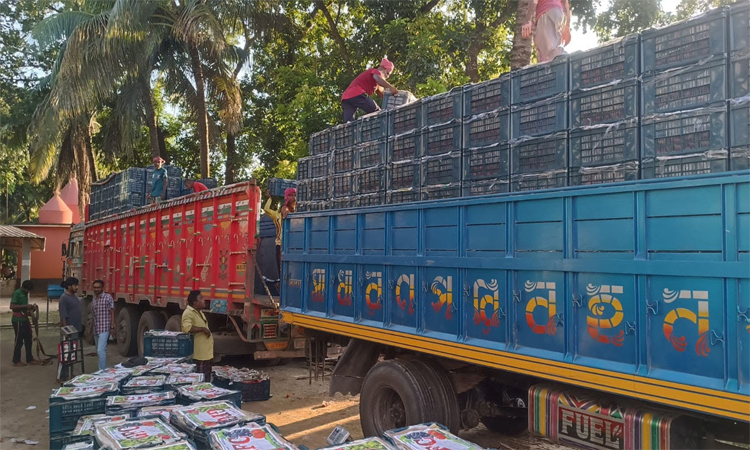 হিলি বন্দর দিয়ে টমেটো আমদানি শুরু
