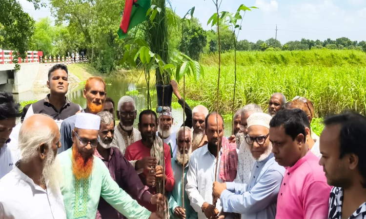 চাঁপাইনবাবগঞ্জে বিএনপির প্রতিষ্ঠাবার্ষিকীতে ২২শ' চারা বিতরণ