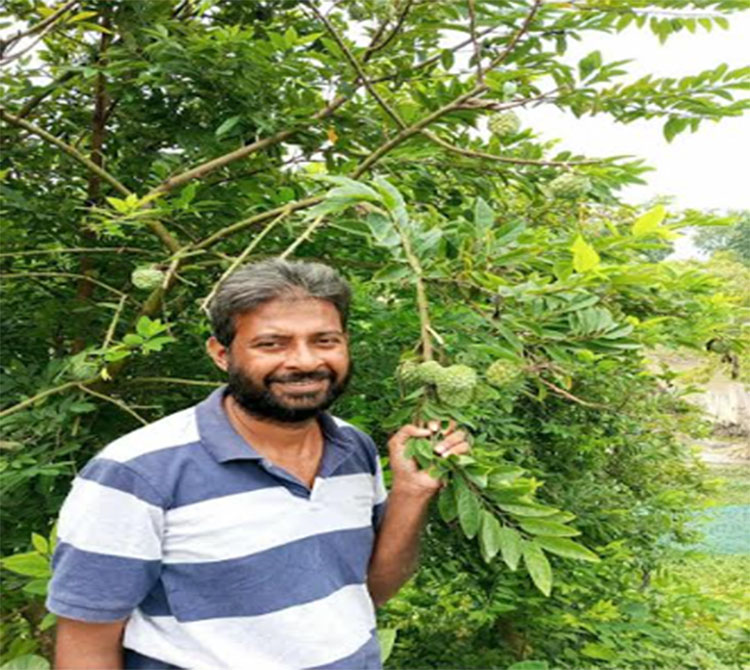  মেহেরপুরে মেওয়া ফলে  স্বপ্ন বুনছেন বাহাউদ্দীন