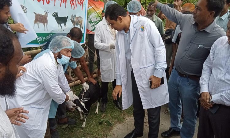 ঝালকাঠিতে ফ্রি ভেটেরিনারি মেডিকেল ক্যাম্প