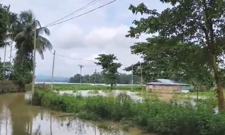 পাহাড়ি ঢলে খাগড়াছড়ির নিম্নাঞ্চল প্লাবিত