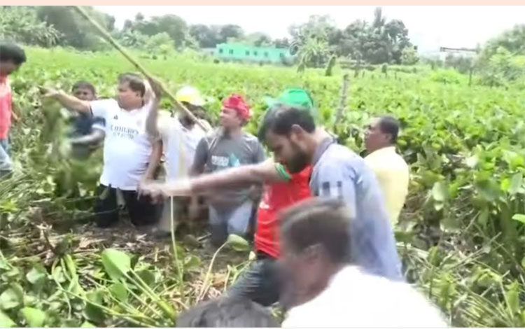 প্রতিষ্ঠা বার্ষিকী উপলক্ষে রাজধানীর উত্তরখানে খাল পরিষ্কার কার্যক্রম বিএনপির