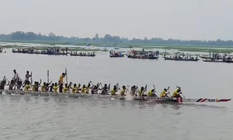 নাটোরে চলনবিলে নৌকা বাইচ প্রতিযোগিতা