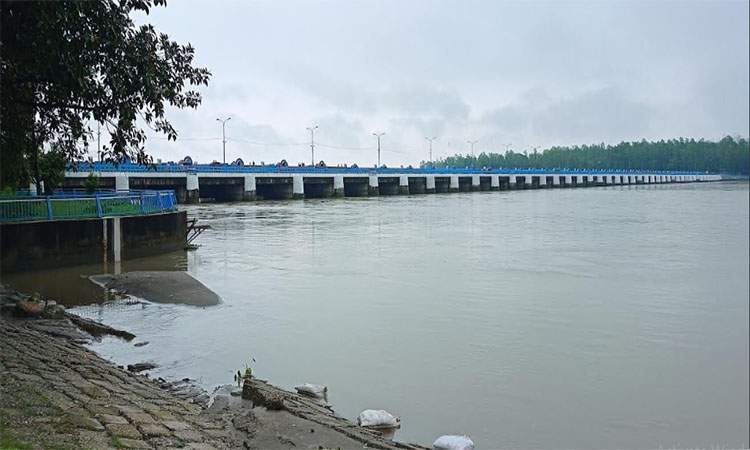 নীলফামারীতে তিস্তার পানি বিপদসীমা ছুঁই ছুঁই করছে 