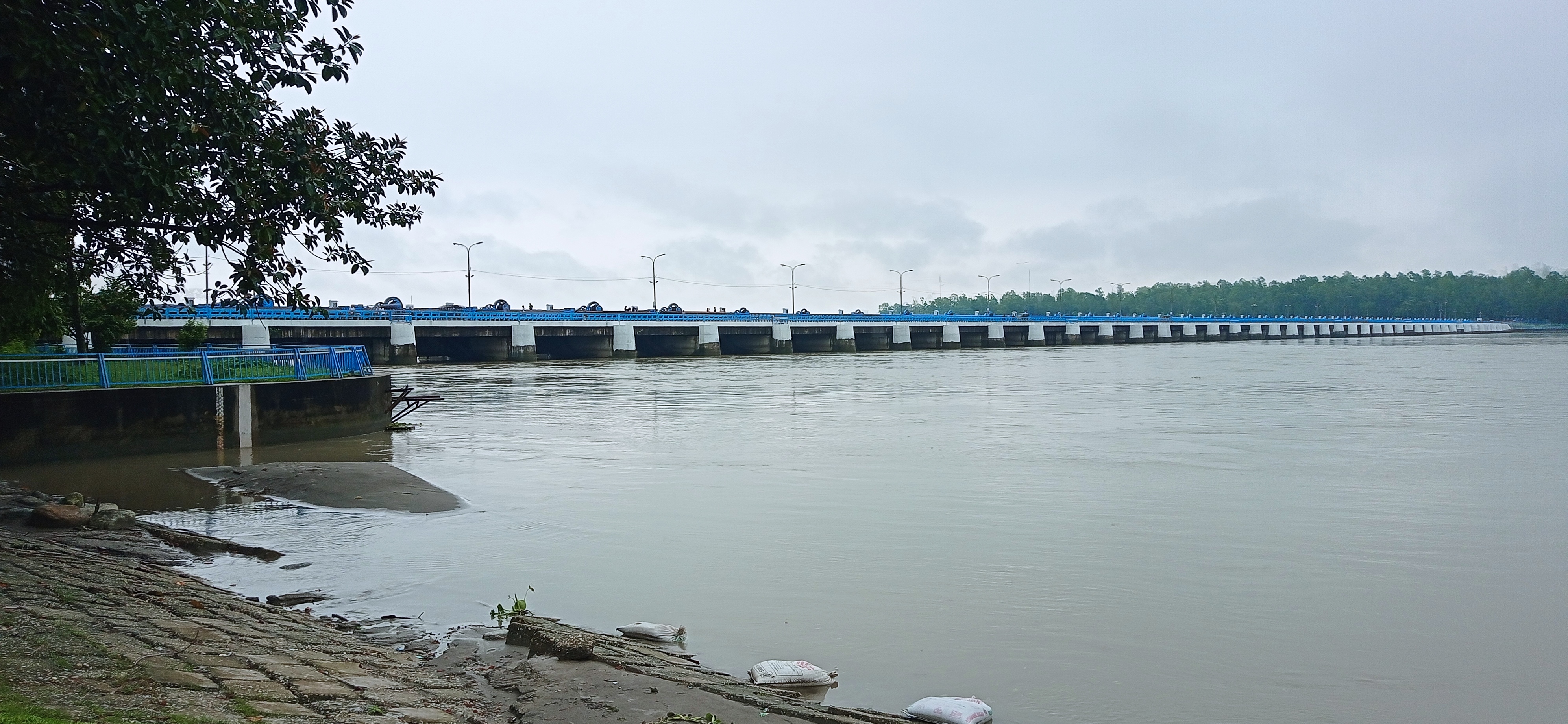 নীলফামারীতে কমেছে তিস্তার পানি