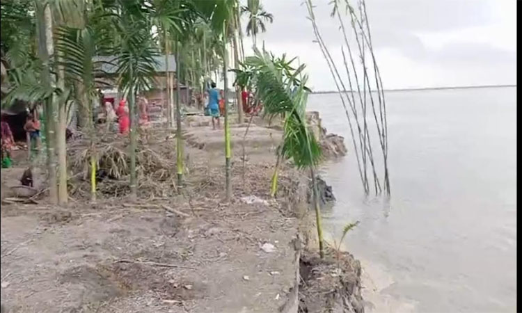 কুড়িগ্রামে নদীতে পানি বাড়ছে 