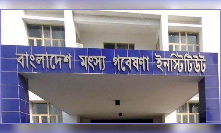 দেশের বিপন্ন প্রজাতির মাছ সংরক্ষণে ‘লাইভ জিন ব্যাংক’ স্থাপন