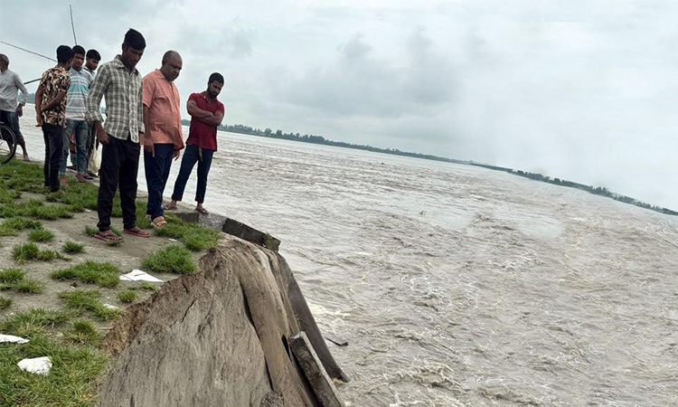রংপুরে তিস্তা সেতু রক্ষা বাঁধের ৭০ মিটার নদীগর্ভে, হুমকিতে ৭টি চর