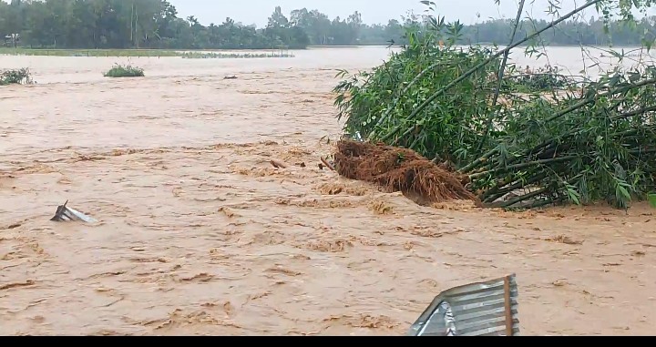 শেরপুরে মহারশি নদীর বাঁধ ভেঙে নিম্নাঞ্চল প্লাবিত