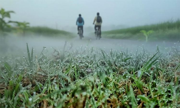শরতের ভোরে কুয়াশার চাদরে স্নিগ্ধ লালমনিরহাট