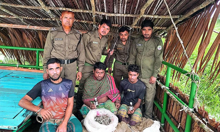 সুন্দরবনে খালে বিষ দিয়ে মাছ ধরায় আটক ৩
