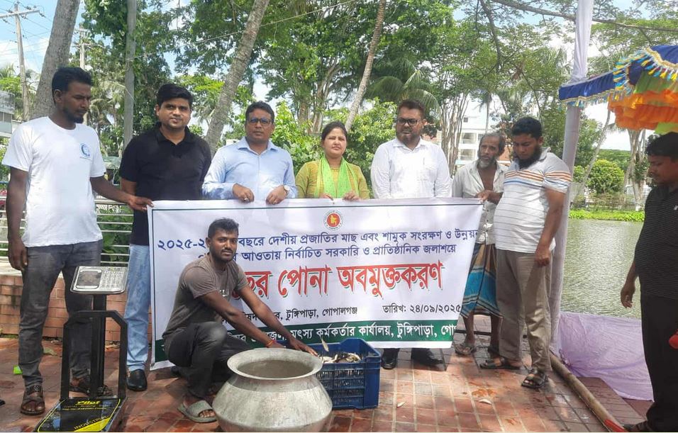 গোপালগঞ্জে সরকারি বিভিন্ন জলাশয়ে মাছের পোনা অবমুক্ত 