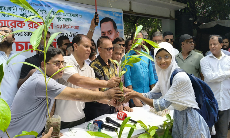 তারেক রহমানের পক্ষ থেকে স্কুলের শিক্ষক ও শিক্ষার্থীদের মাঝে গাছের চারা বিতরণ