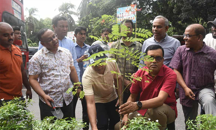 রোড মিডিয়ানে সবুজায়নের উদ্বোধন করেছেন ডিএসসিসি প্রশাসক