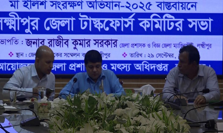 মা ইলিশ রক্ষায় লক্ষ্মীপুরে টাস্কফোর্স কমিটির সভা 