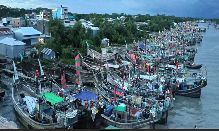 পটুয়াখালীতে ইলিশসহ সব ধরনের মাছ আহরণ ২২ দিন বন্ধ থাকবে