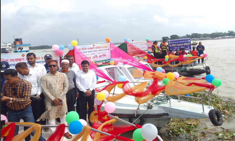 বরিশালে ইলিশের নিরাপদ প্রজনন নিশ্চিতে সংরক্ষণ অভিযান শুরু 