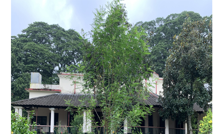মেহেরপুরের আমঝুপি নীলকুঠি: বাংলার শোষণ আর সংগ্রামের ঐতিহাসিক নিদর্শন