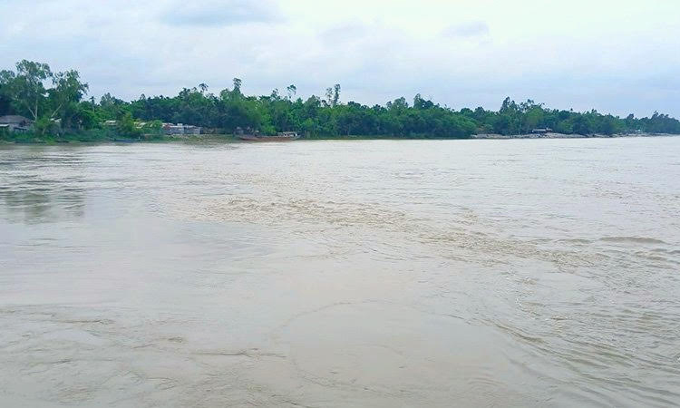 তিস্তা নদীর পানি বিপৎসীমার কাছাকাছি, বন্যার শঙ্কা 