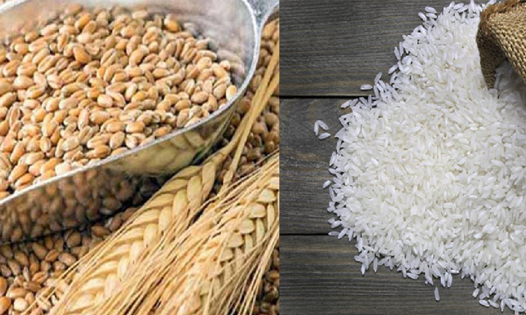 ২ লাখ ২০ হাজার টন গম ও ৫০ হাজার টন বাসমতি চাল কিনবে সরকার