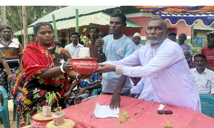 নওগাঁয় বিএনপি নেতার আদিবাসী নারীদের ধান বীজ ও ফলের চারা দিয়ে সম্মাননা প্রদান