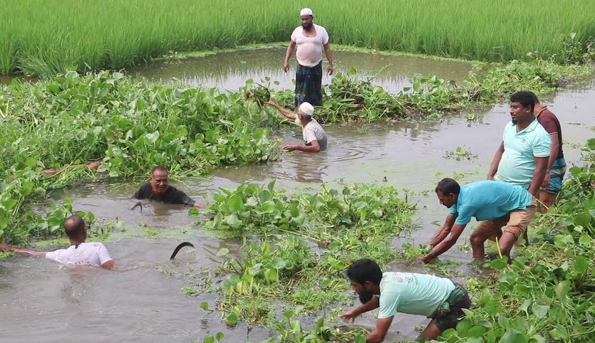 নওগাঁয় ২ কিলোমিটার খাল স্বেচ্ছাশ্রমে পরিস্কার করায় সচল হলো পানি নিষ্কাশন 