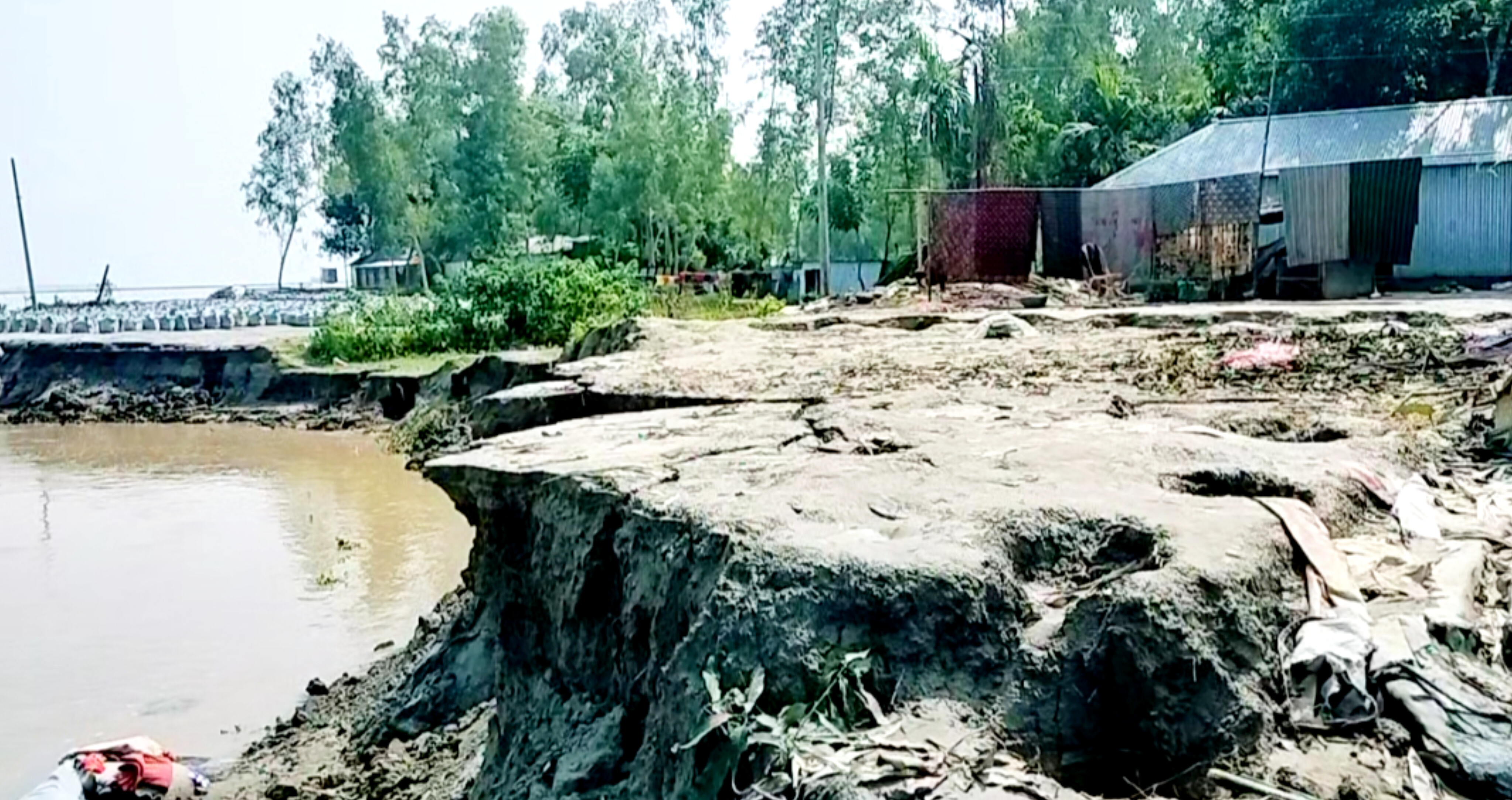 কুড়িগ্রামে নদী ভাঙনে ৬৫ বসতভিটা বিলীন