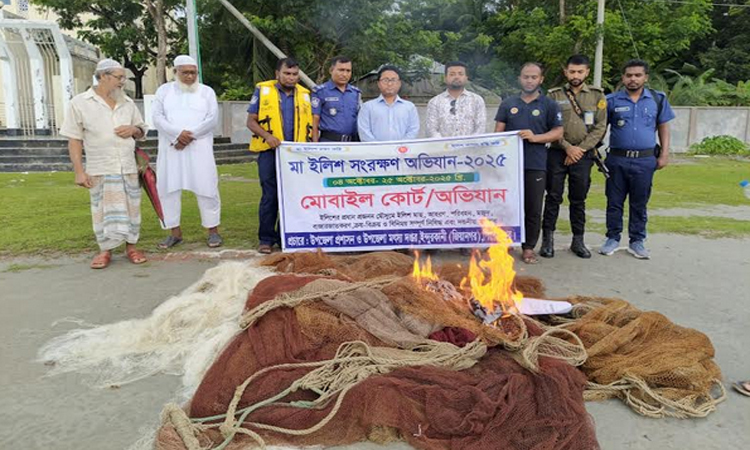পিরোজপুরে মা ইলিশ সংরক্ষণ অভিযানে জাল ধ্বংস