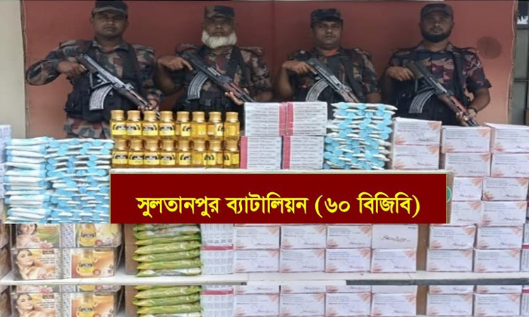 বিপুল পরিমাণ ভারতীয় পণ্য জব্দ করেছে বিজিবি কুমিল্লা