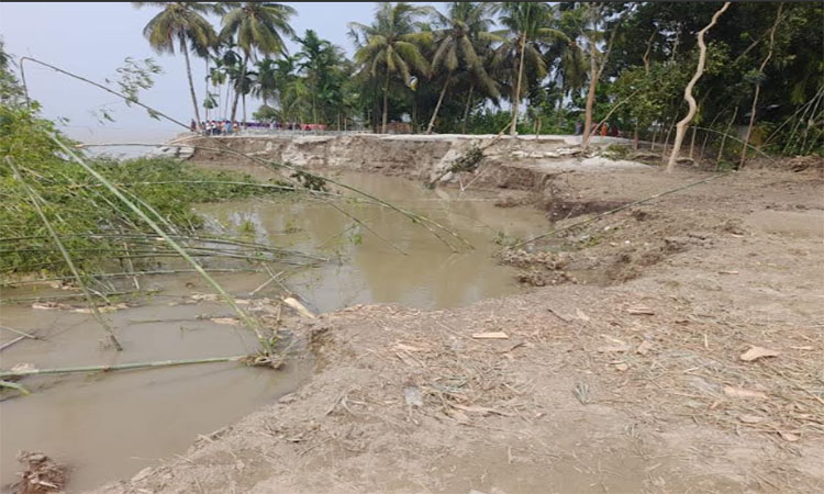 ব্রহ্মপুত্রের ভাঙনে ভিটে হারা দুই শতাধিক পরিবার 