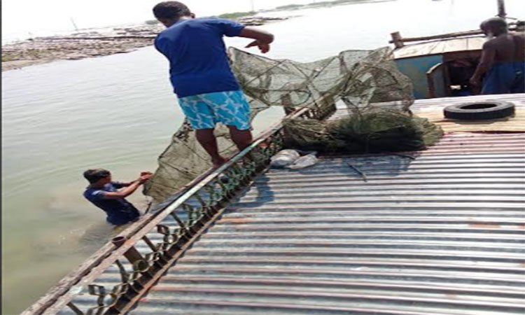 নেত্রকোণায় অবৈধ চায়না দুয়ারী জাল জব্দ