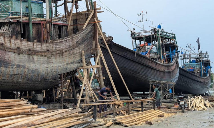 সমুদ্রে মা ইলিশ ধরায় নিষেধাজ্ঞা: নৌকা-জাল মেরামতে ব্যস্ত জেলেরা 