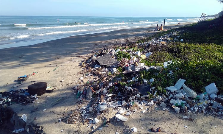 কক্সবাজারের প্লাস্টিক রিসাইক্লিং অভিজ্ঞতা সারা দেশে ছড়িয়ে দেওয়া হবে : নাভিদ শফিউল্লাহ