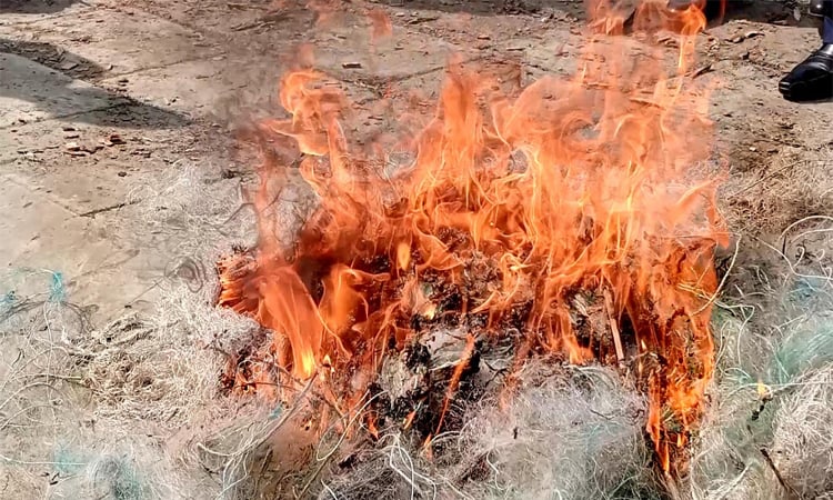 বাগেরহাটে জব্দকৃত জাল ধ্বংস