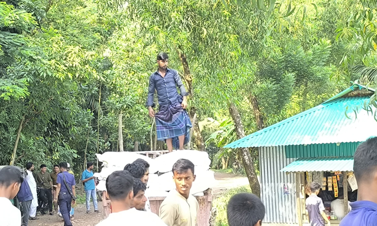 নোয়াখালীতে ট্রলার থেকে ৩৫০ বস্তা ইউরিয়া সার জব্দ