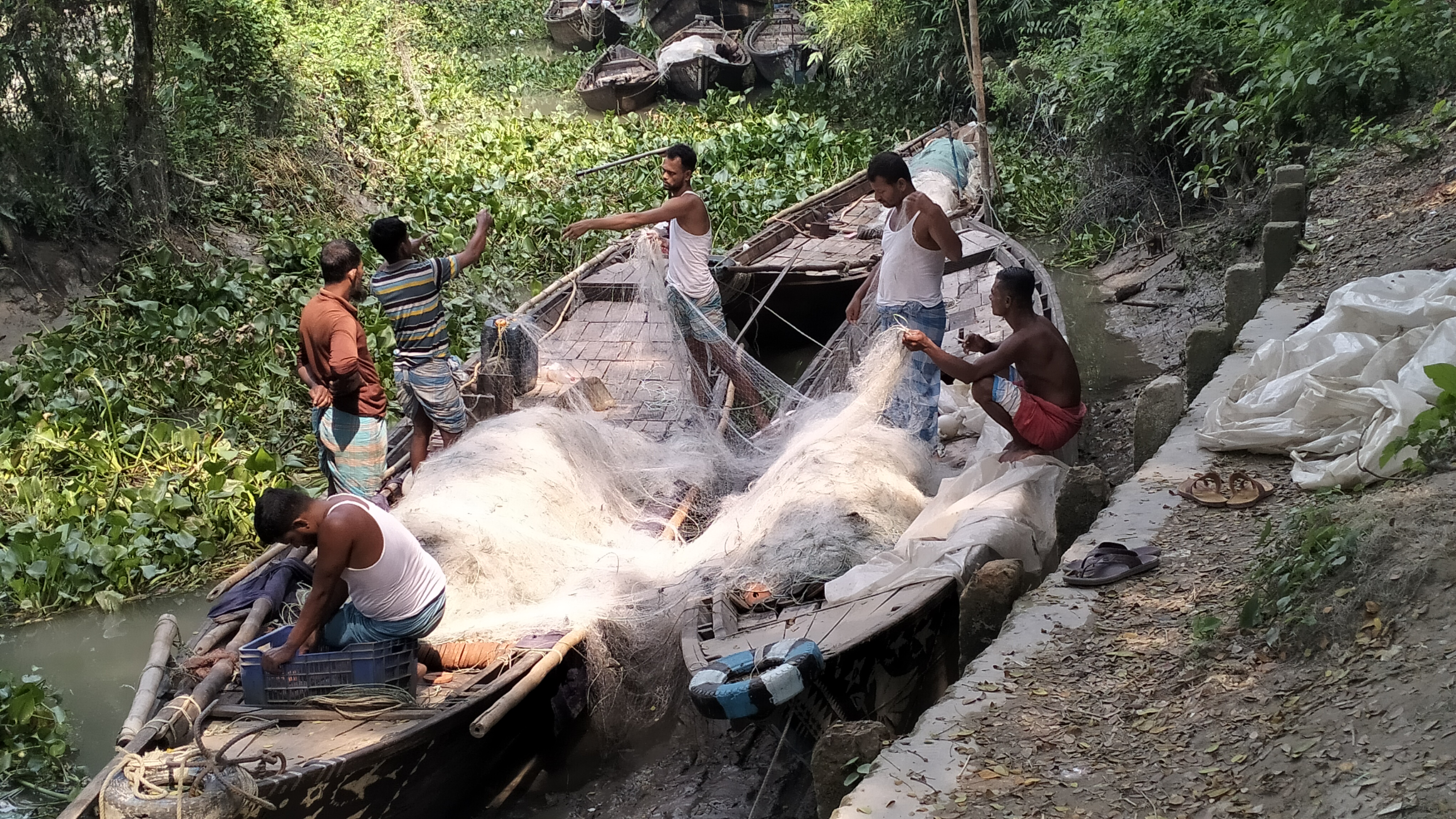 চাঁদপুরের জেলে পাড়ায় ইলিশ ধরতে সরগরম