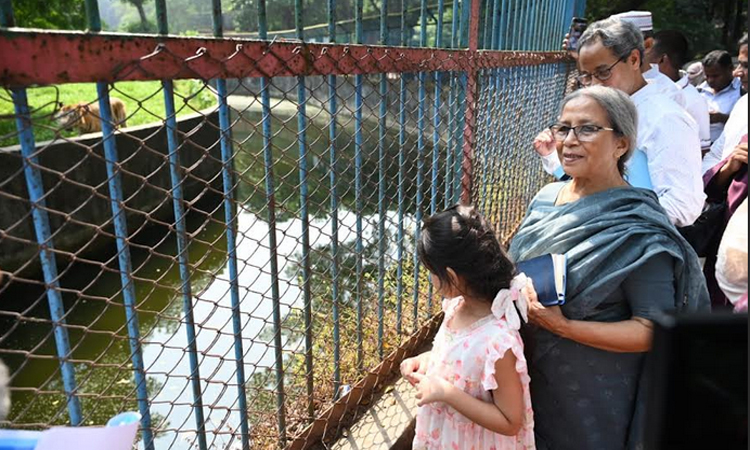 মৎস্য ও প্রাণিসম্পদ উপদেষ্টা ফরিদা আখতার শনিবার বাংলাদেশ জাতীয় চিড়িয়াখানা পরিদর্শন করেন। ছবি: বাসস