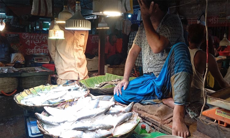 খুলনার বাজারে রুপালী ইলিশের সরবরাহ কম, দাম বেশি