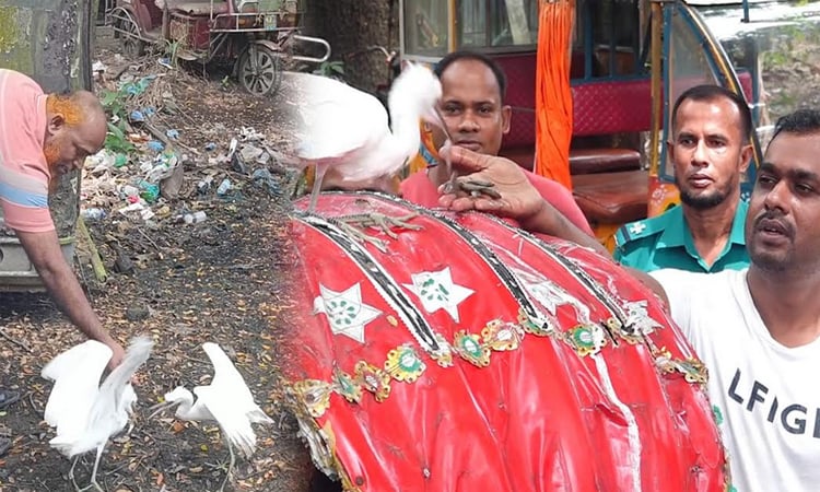 বরিশাল পুলিশ ফাঁড়িতে নিরাপদে বাস করছে তিনটি সাদা বক