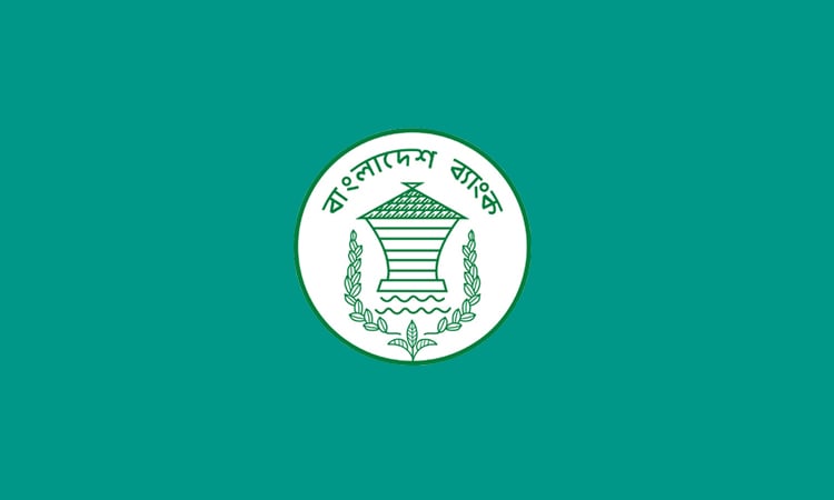 বিদ্যুৎ আমদানির অর্থ পরিশোধে নিয়ম শিথিল করল বাংলাদেশ ব্যাংক