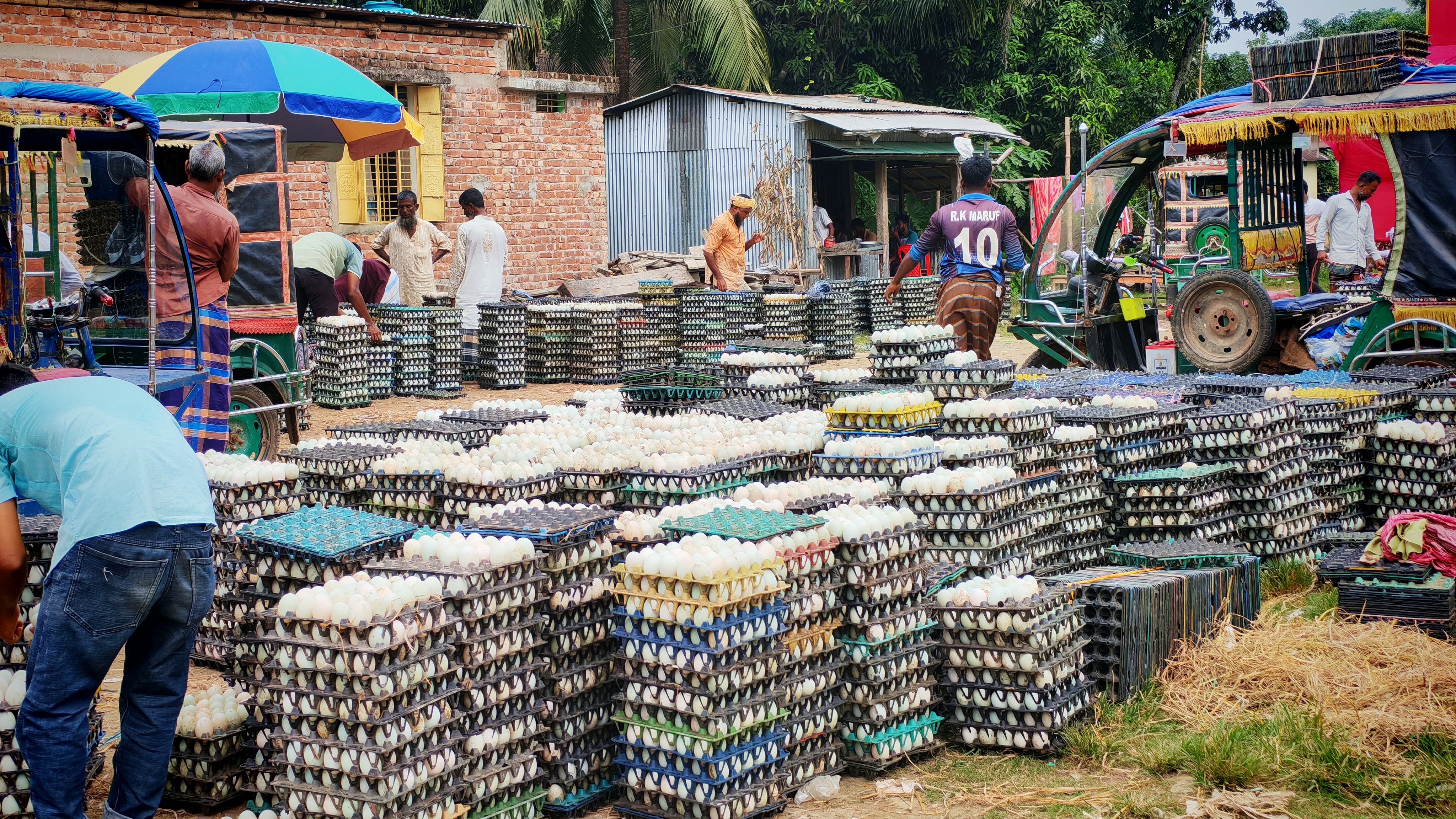 নেত্রকোণার হাওরে উৎপাদিত হাঁসের ডিমের চাহিদা সারাদেশে