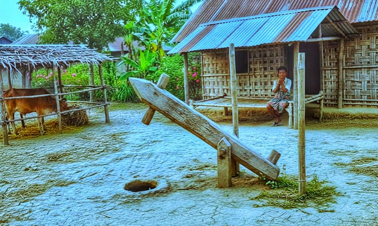 ঢেঁকির সুরে বেঁচে থাকা গ্রামীণ ইতিহাস এখন শুধুই হারিয়ে যাওয়ার গল্প