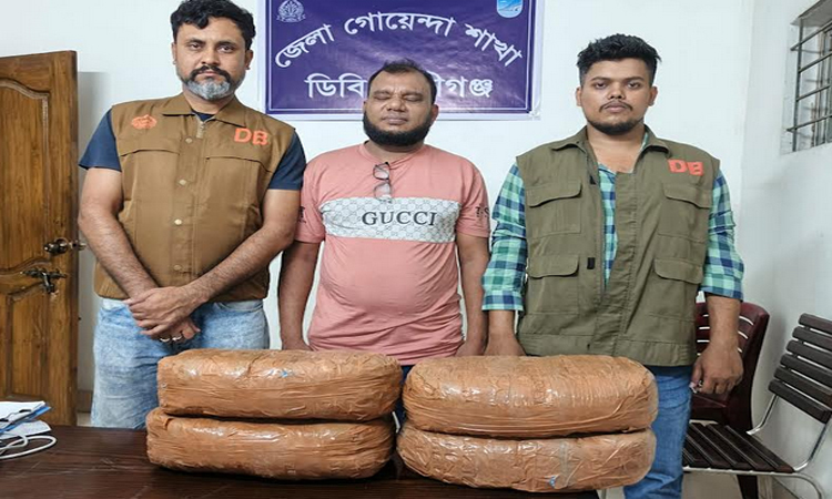 মুন্সীগঞ্জে গাঁজা ব্যবসায়ী গ্রেফতার