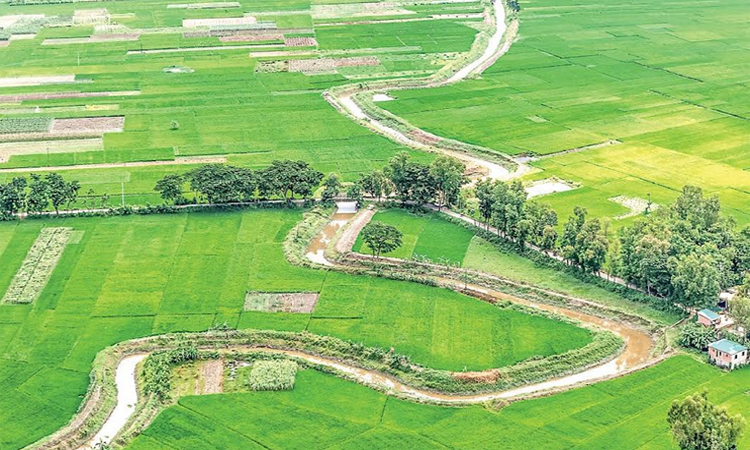 চট্টগ্রামে বিএডিসি’র খাল পুনঃখননে হাজারো কৃষকের মুখে হাসি