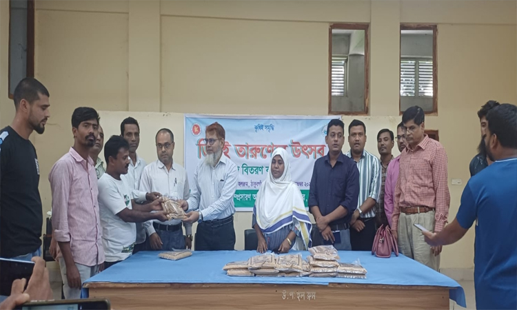 ঠাকুরগাঁওয়ে জুলাই যোদ্ধাদের মধ্যে সরিষা বীজ বিতরণ