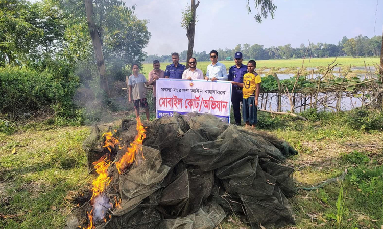 টাঙ্গাইলে চায়না দুয়ারি জাল পুড়িয়ে ধ্বংস