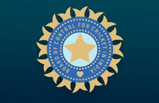 দক্ষিণ আফ্রিকা সিরিজে ভারতের টেস্ট দলে ফিরলেন পান্ত